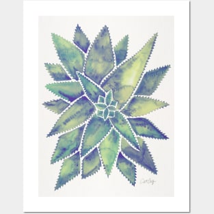 Marbled Aloe Vera Posters and Art